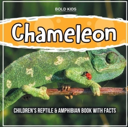 Bertrand.pt - Chameleon