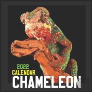 Chameleon Calendar 2022