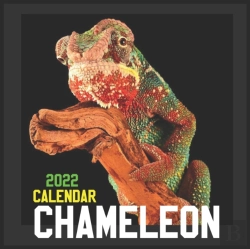 Bertrand.pt - Chameleon Calendar 2022