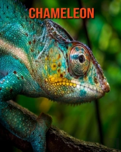 Bertrand.pt - Chameleon