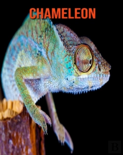 Bertrand.pt - Chameleon