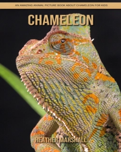Bertrand.pt - Chameleon