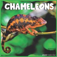 Chameleons 2022 Calendar