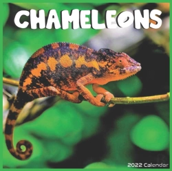 Bertrand.pt - Chameleons 2022 Calendar