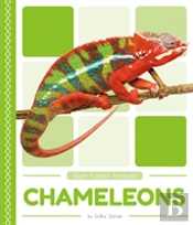 Chameleons