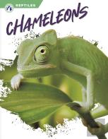 Chameleons