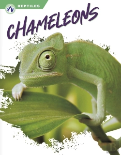 Bertrand.pt - Chameleons