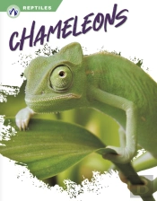Chameleons