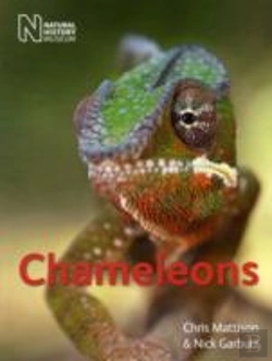 Bertrand.pt - Chameleons