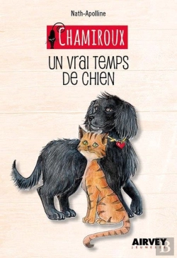 Bertrand.pt - Chamiroux Un Vrai Temps De Chien