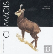 Chamois