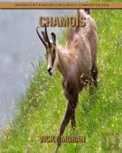 Chamois