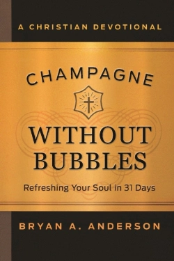 Bertrand.pt - Champagne Without Bubbes