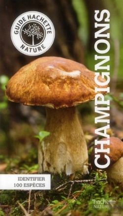 Bertrand.pt - Champignons