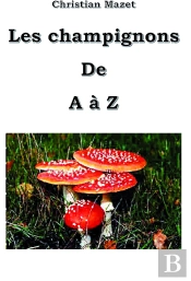 Champignons De A A Z