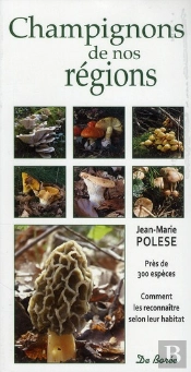 Champignons De Nos Regions