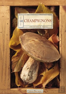 Bertrand.pt - Champignons