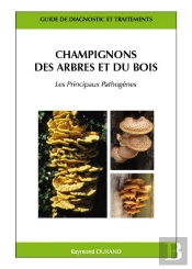Champignons Des Arbres Et Du Bois