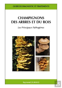 Bertrand.pt - Champignons Des Arbres Et Du Bois