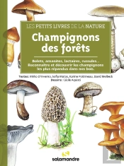 Champignons Des Forêts