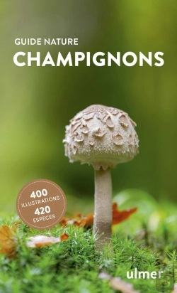 Bertrand.pt - Champignons