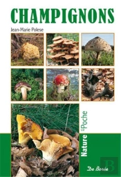 Champignons