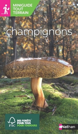 Bertrand.pt - Champignons