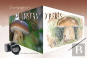 Champignons : L'Instant D'Apres