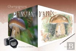 Bertrand.pt - Champignons : L'Instant D'Apres