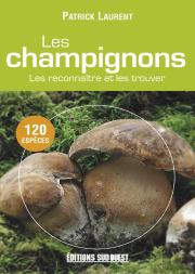 Champignons