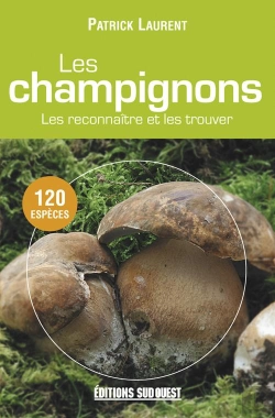 Bertrand.pt - Champignons