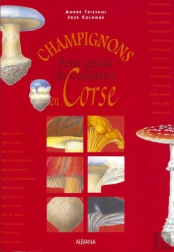 Bertrand.pt - Champignons - Petit Guide De Cueillette En Corse
