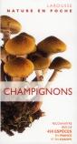 Champignons ; Reconnaître Près De 450 Espèces En France Et En Europe