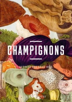 Bertrand.pt - Champignons : Secrets Des Sous-Bois