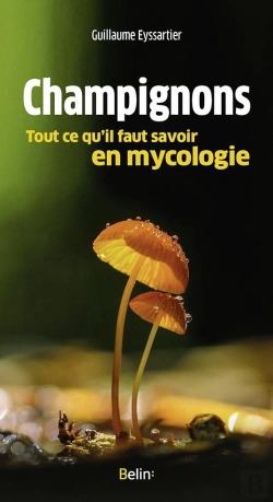 Bertrand.pt - Champignons, Tout Ce Qu'Il Faut Savoir En Mycologie