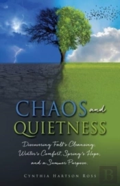Chaos And Quietness   : Discovering Fall