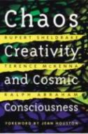 Chaos, Creativity, And Cosmic Consciousness