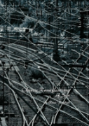 Chaotic Ramifications Of Sin