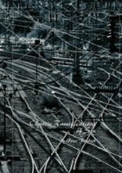 Chaotic Ramifications Of Sin