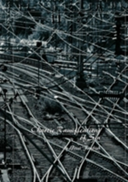 Bertrand.pt - Chaotic Ramifications Of Sin