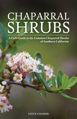 Bertrand.pt - Chaparral Shrubs