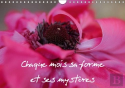 Bertrand.pt - Chaque Mois Sa Forme Et Ses Mysteres Calendrier Mural 2018 Din A4 Horizontal