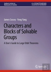 Characters And Blocks Of Solvable Groups