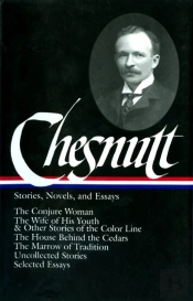 Charles W. Chesnutt: Stories, Novels, And Essays (Loa #131)