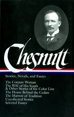 Bertrand.pt - Charles W. Chesnutt: Stories, Novels, And Essays (Loa #131)