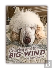 Charley And The Big Wind