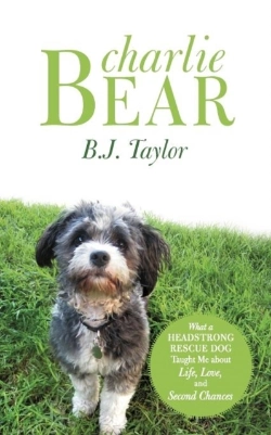 Bertrand.pt - Charlie Bear