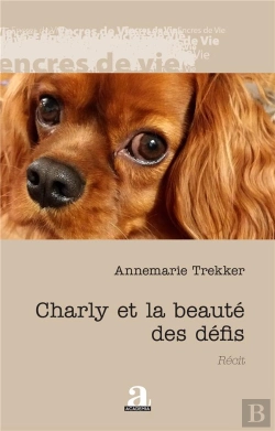 Bertrand.pt - Charly Et La Beauté Des Défis