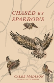 Chased By Sparrows