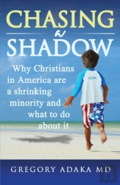 Chasing A Shadow